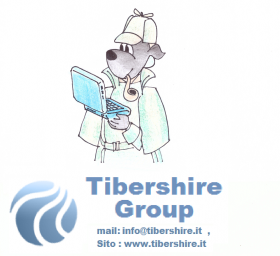 ULTIM'ORA .... CAMPAGNA SICUREZZA - TIBERSHIRE GROUP